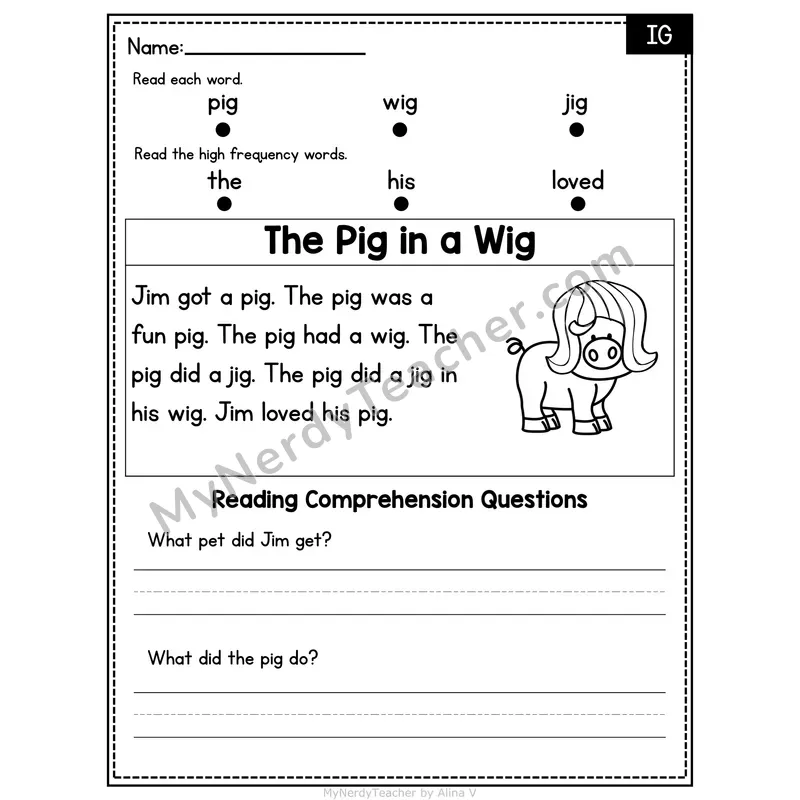 IG Word Family Decodable Passage - The Pig in a Wig