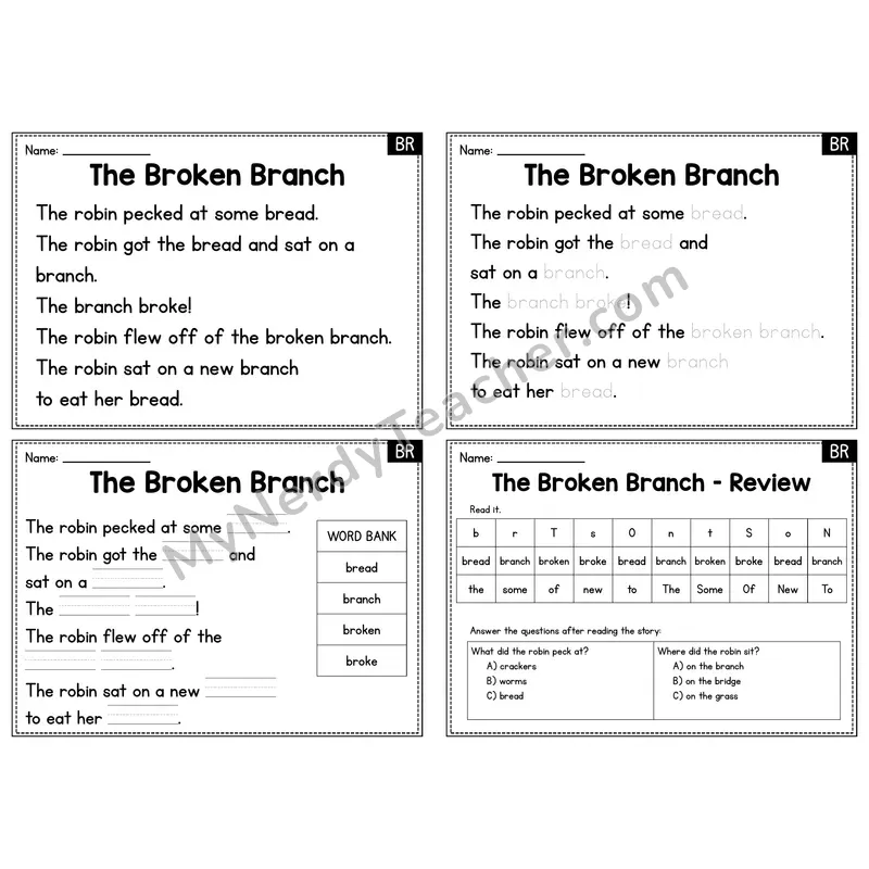 BR Blend Decodable Passage - The Broken Branch