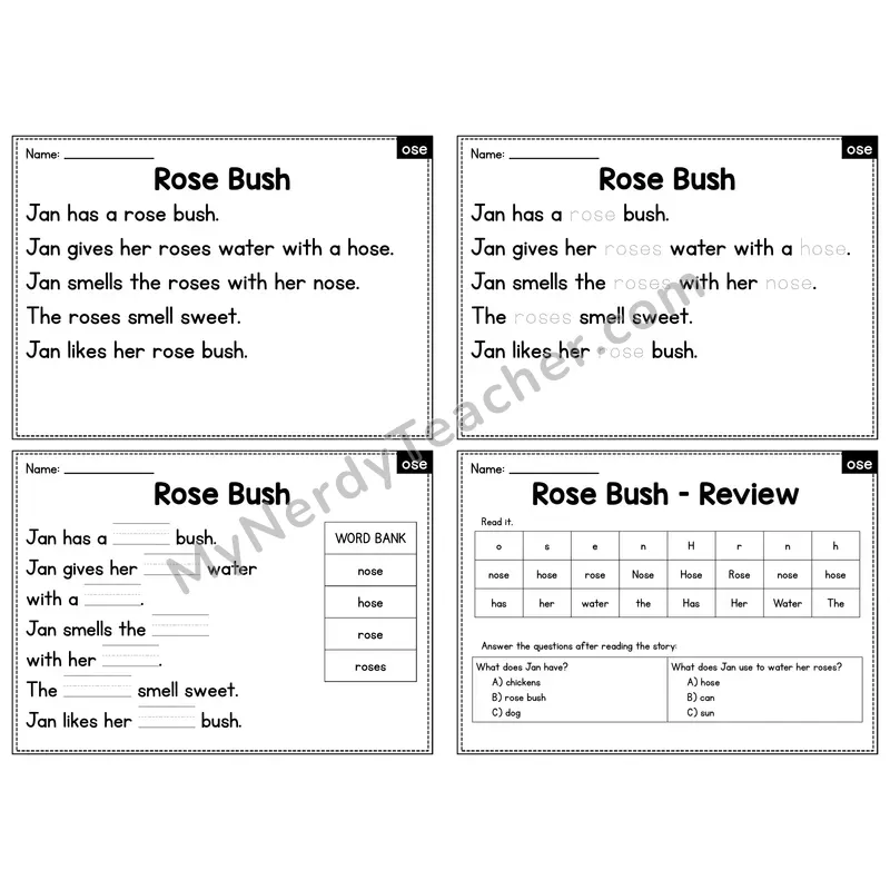 OSE Word Family Decodable Passage - Rose Bush