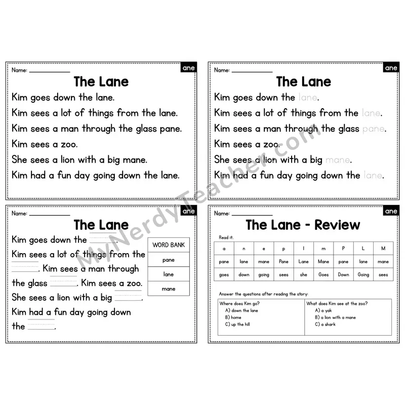 ANE Word Family Decodable Passage - The Lane
