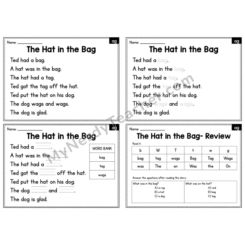 AG Word Family Decodable Passage - The Hat in the Bag