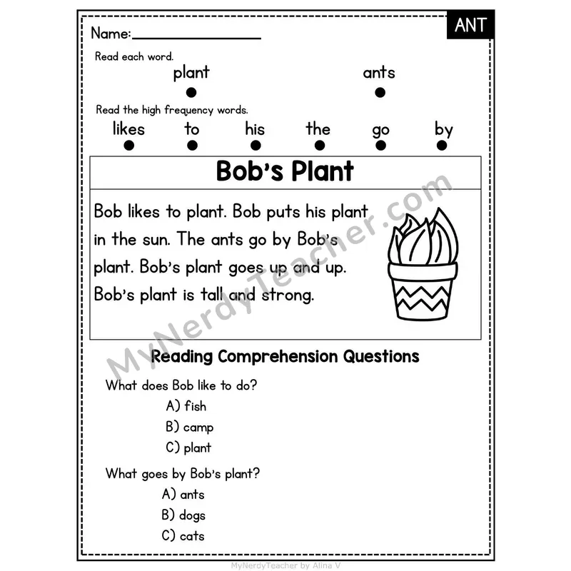 ANT Word Family Decodable Passage - Bob's Plant