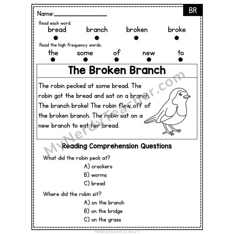 BR Blend Decodable Passage - The Broken Branch