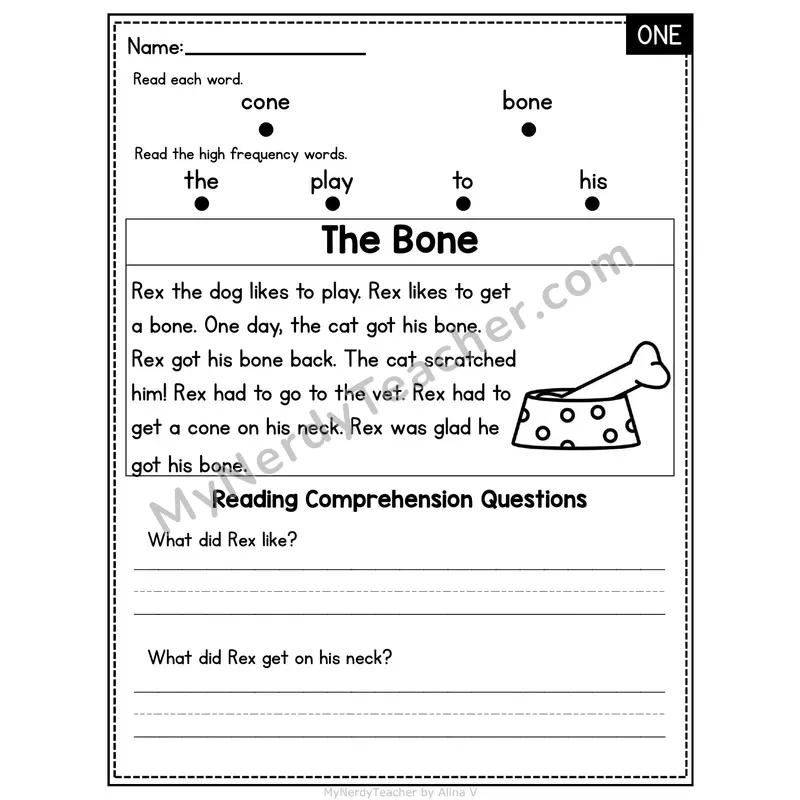 ONE Word Family Decodable Passage - The Bone