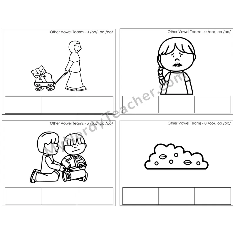 Vowel Teams oo, u /oo/ (book) — BW (C1 — Map the Sound)