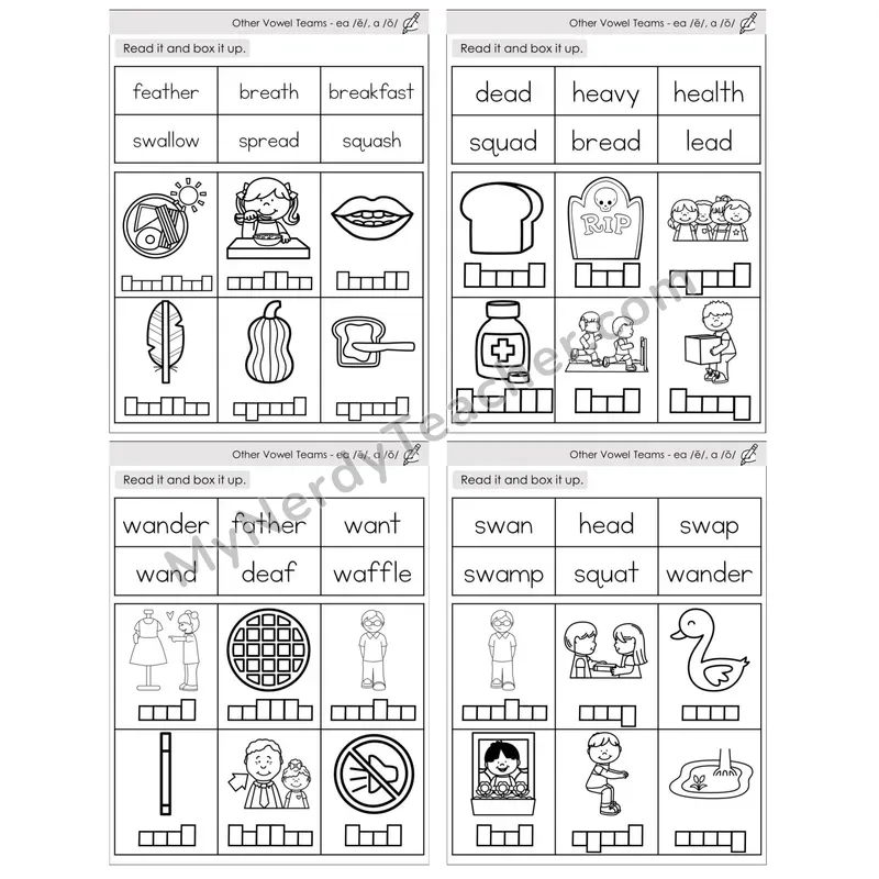 Vowel Teams ea /e/, a /o/ — BW (C10 — Read and Box It Up)