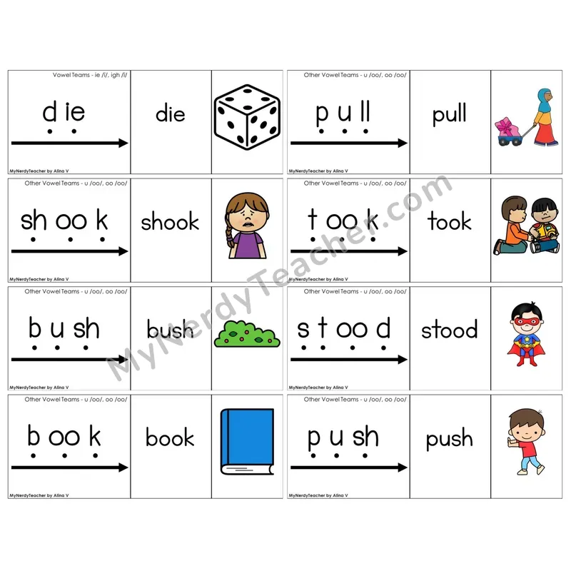 Vowel Teams oo, u /oo/ (book) (C13 — Blend It Puzzles)