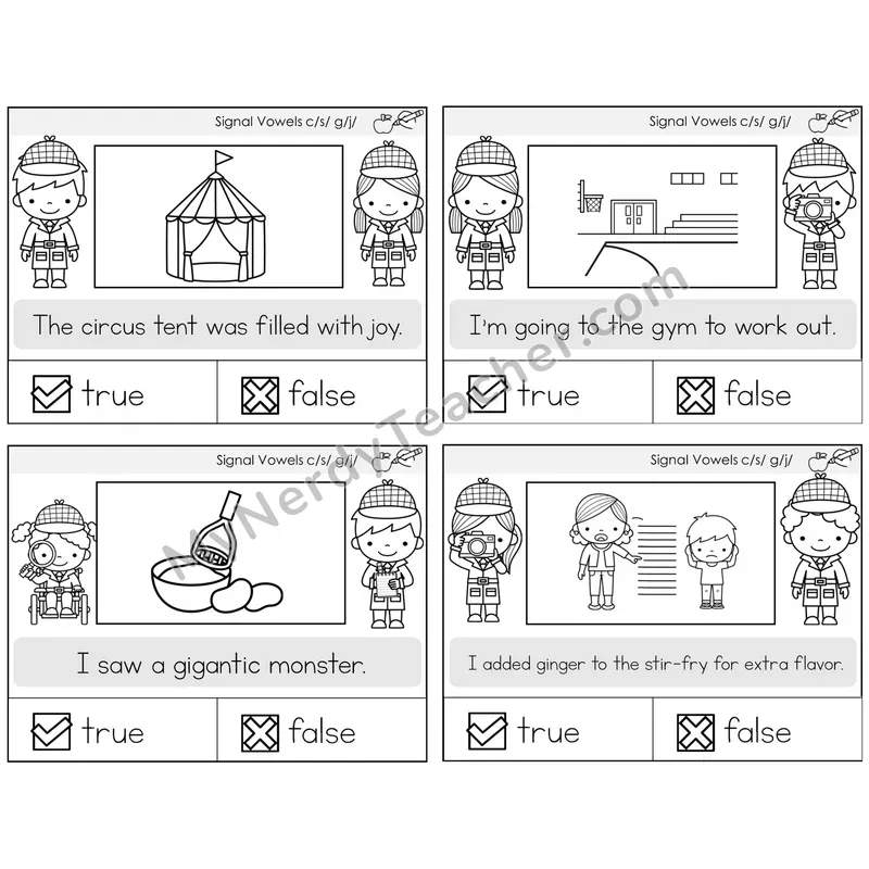 Signal Vowels (c/g soft) True or False Task Cards — Decodable Sentences