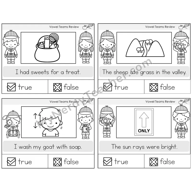 Long Vowel Teams Review True or False Task Cards — Decodable Sentences