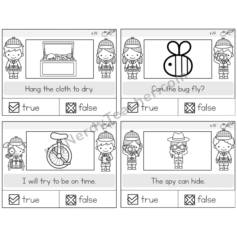 Y as Long I True or False Task Cards — Decodable Sentences