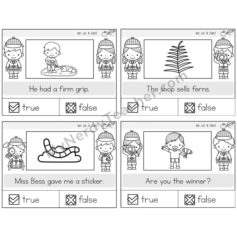 R-Controlled ER, UR, IR True or False Task Cards — Decodable Sentences