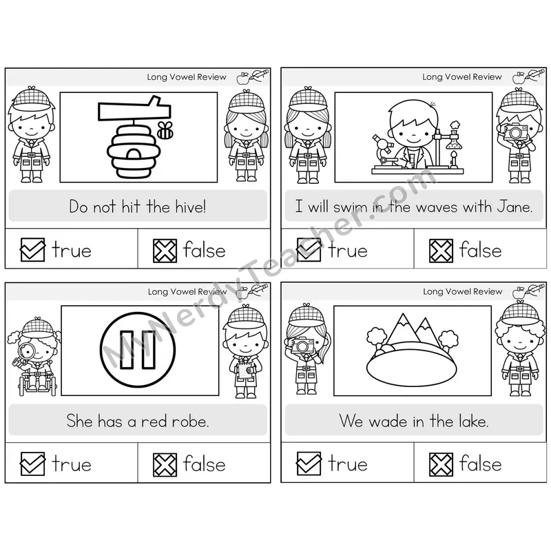 Long Vowels Review True or False Task Cards — Decodable Sentences