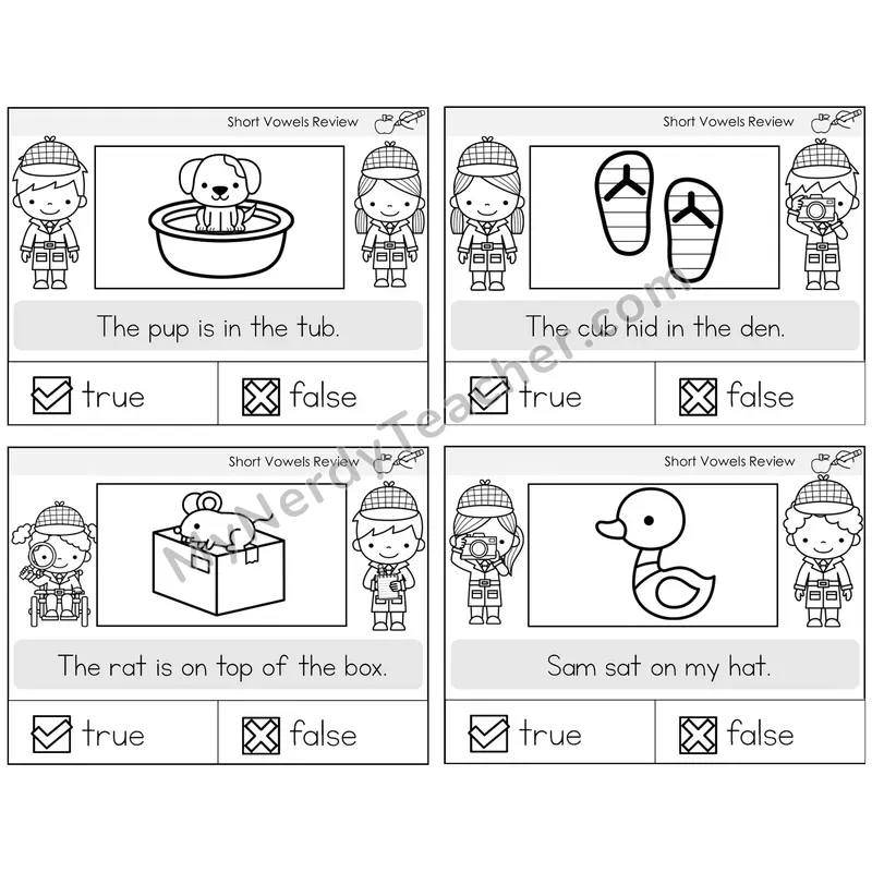 Short Vowels Review True or False Task Cards — Decodable Sentences