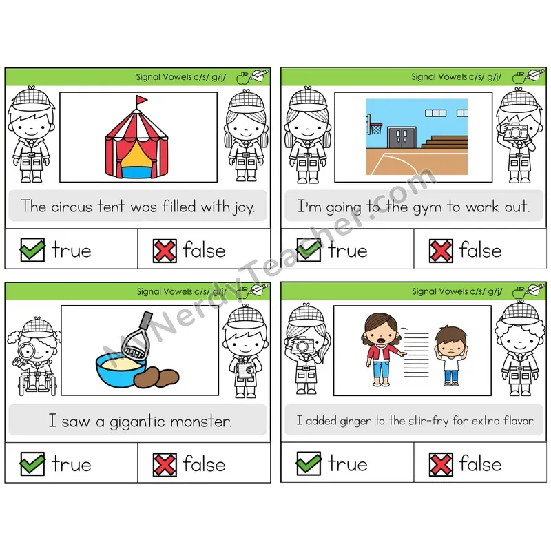 Signal Vowels (c/g soft) True or False Task Cards — Decodable Sentences