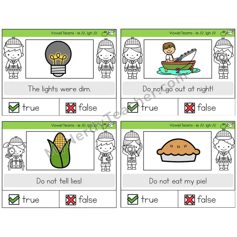 Long I Vowel Teams (ie, igh) True or False Task Cards — Decodable Sentences