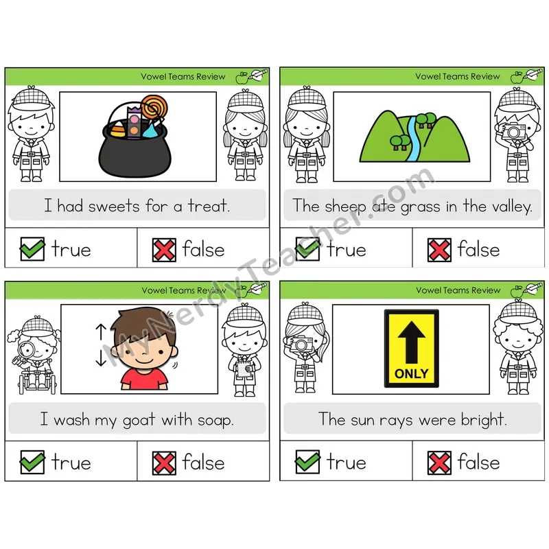 Long Vowel Teams Review True or False Task Cards — Decodable Sentences