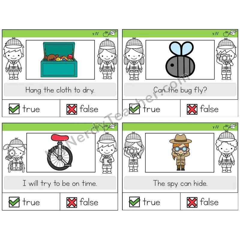 Y as Long I True or False Task Cards — Decodable Sentences