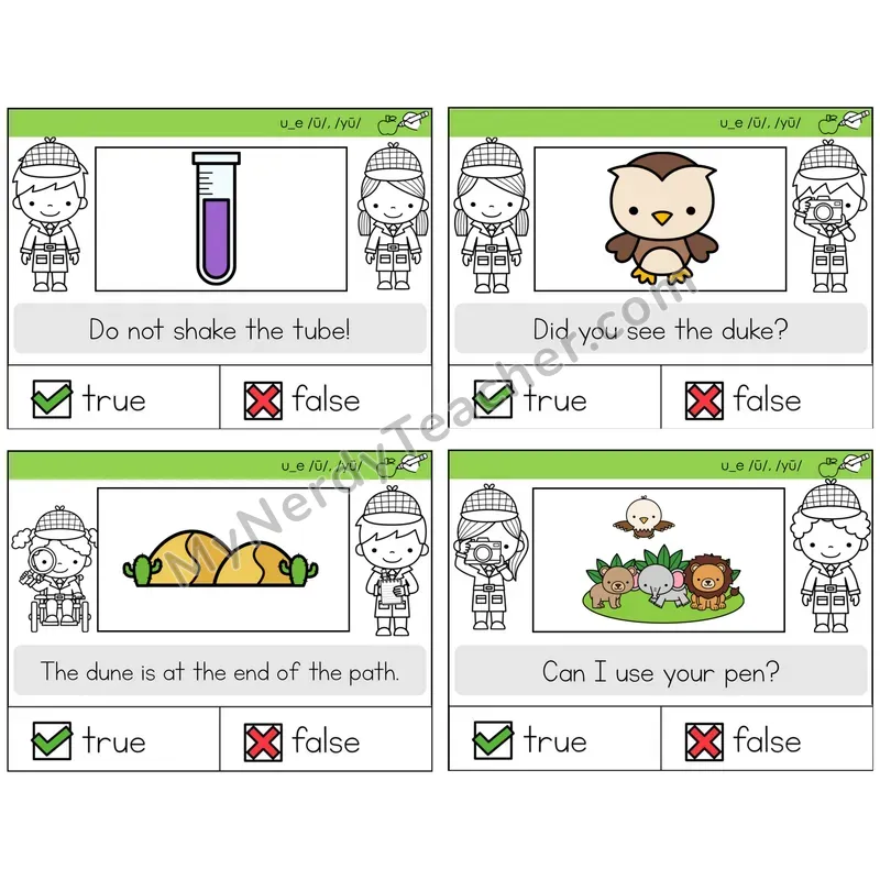 Long U VCe (u_e) True or False Task Cards — Decodable Sentences