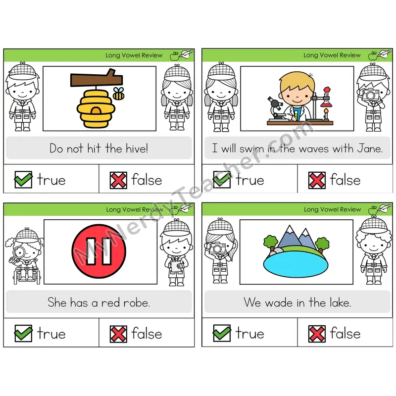 Long Vowels Review True or False Task Cards — Decodable Sentences