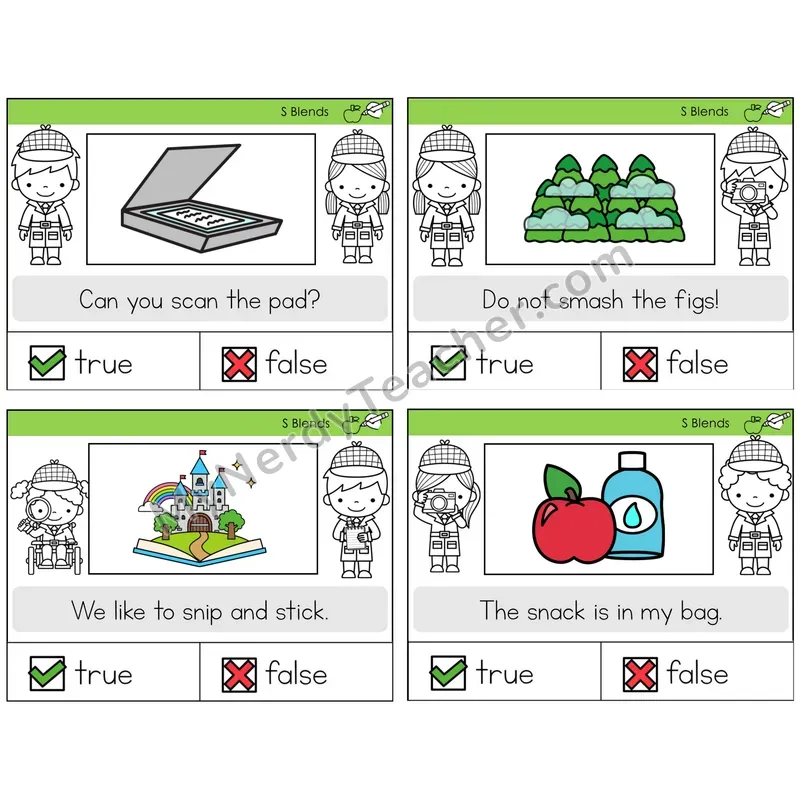 S Blends True or False Task Cards — Decodable Sentences