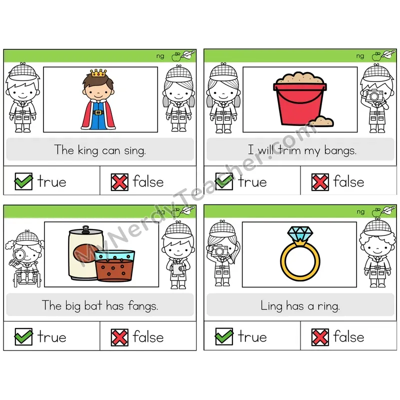 NG Digraph True or False Task Cards — Decodable Sentences