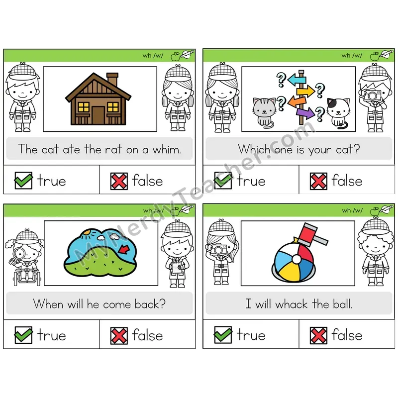 WH Digraph True or False Task Cards — Decodable Sentences