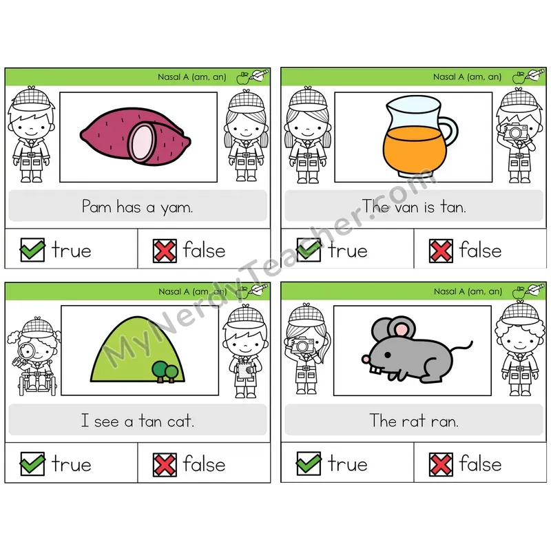 Nasalized A (am, an) True or False Task Cards — Decodable Sentences