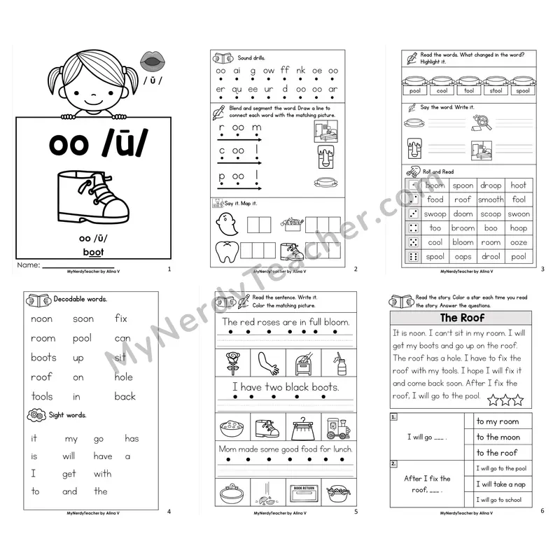 Other Vowel Team oo (long) Worksheet Pack
