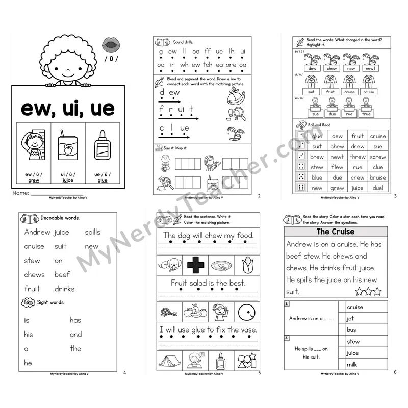 Other Vowel Teams ew, ui, ue Worksheet Pack