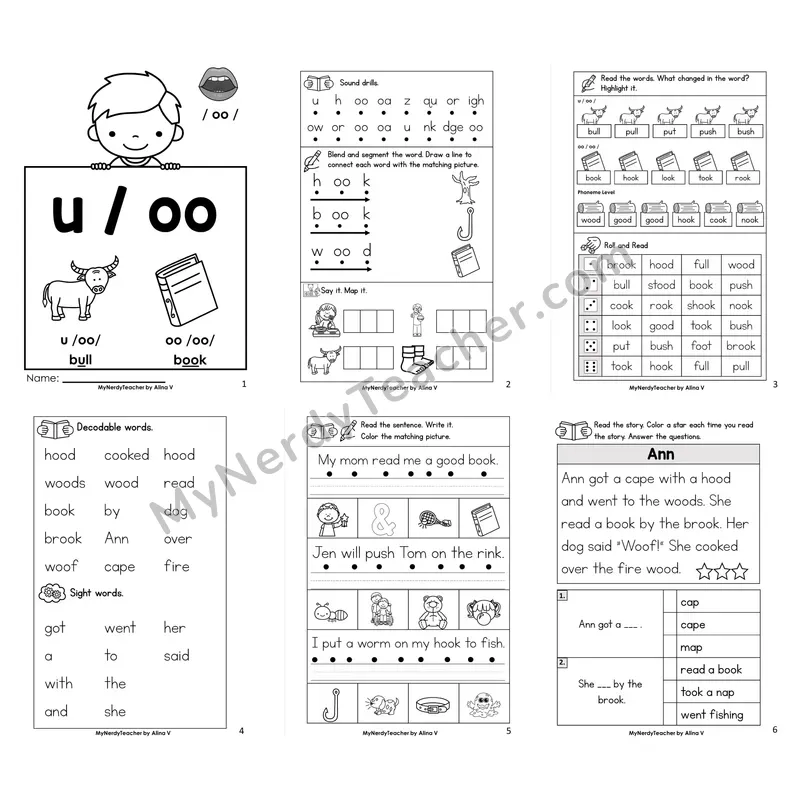 Other Vowel Team oo and u (short) Worksheet Pack