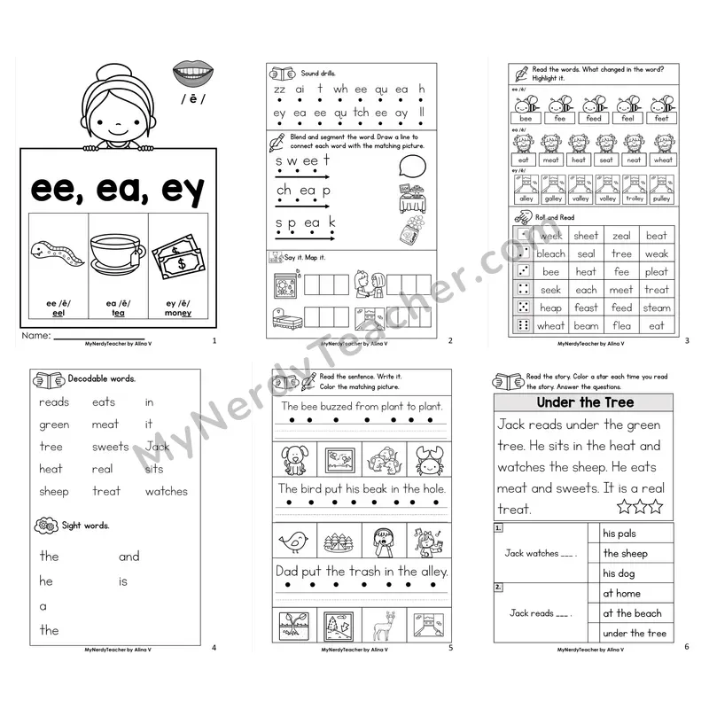 Long Vowel Team ee, ea, ey Worksheet Pack
