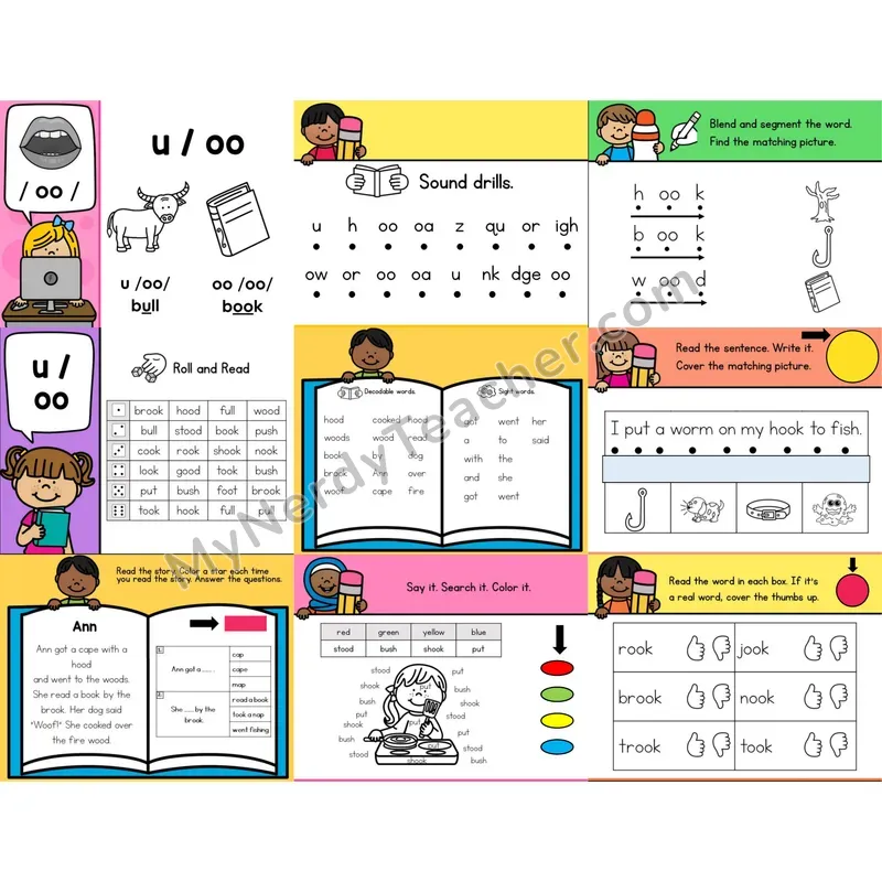 Other Vowel Team oo and u (short) Editable PowerPoint