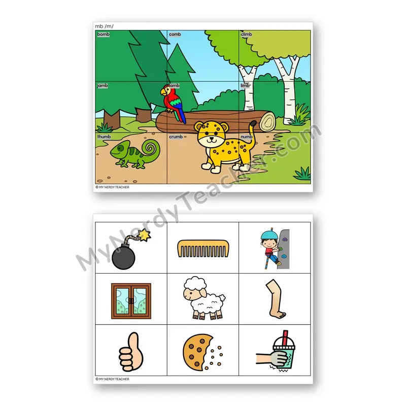 Silent Letters MB Mystery Picture Puzzle — Color