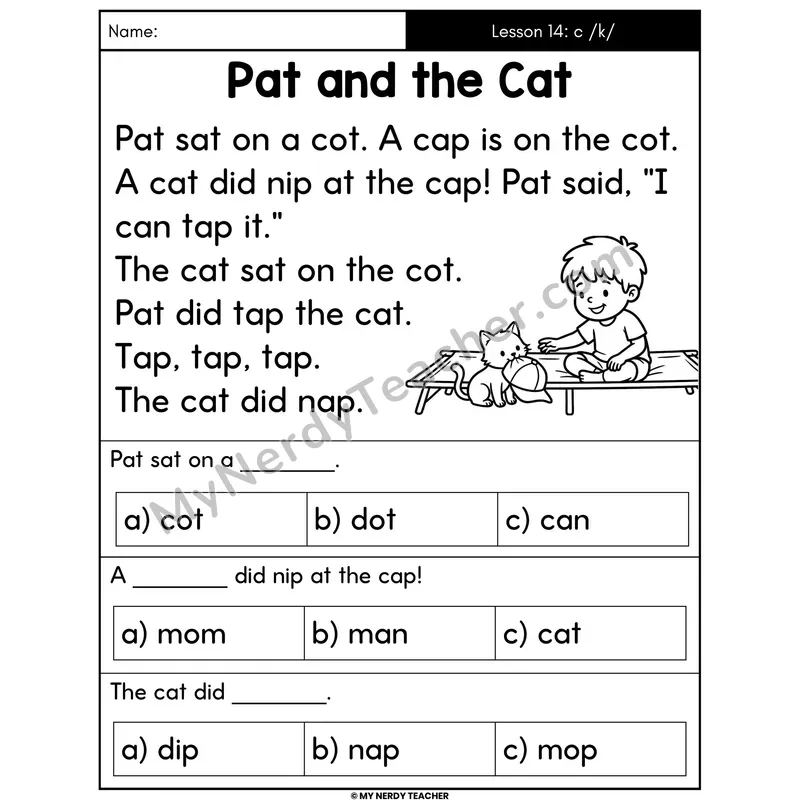 Hard C Sound Decodable Passage - Pat and the Cat (Multiple Choice)