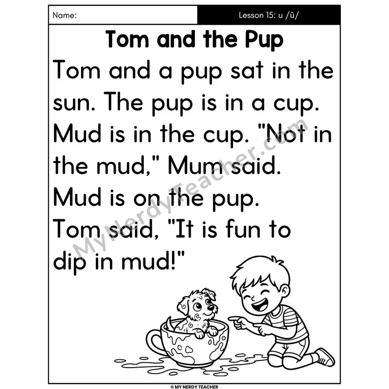 Short U Decodable Passage - Tom and the Pup (Large Print)