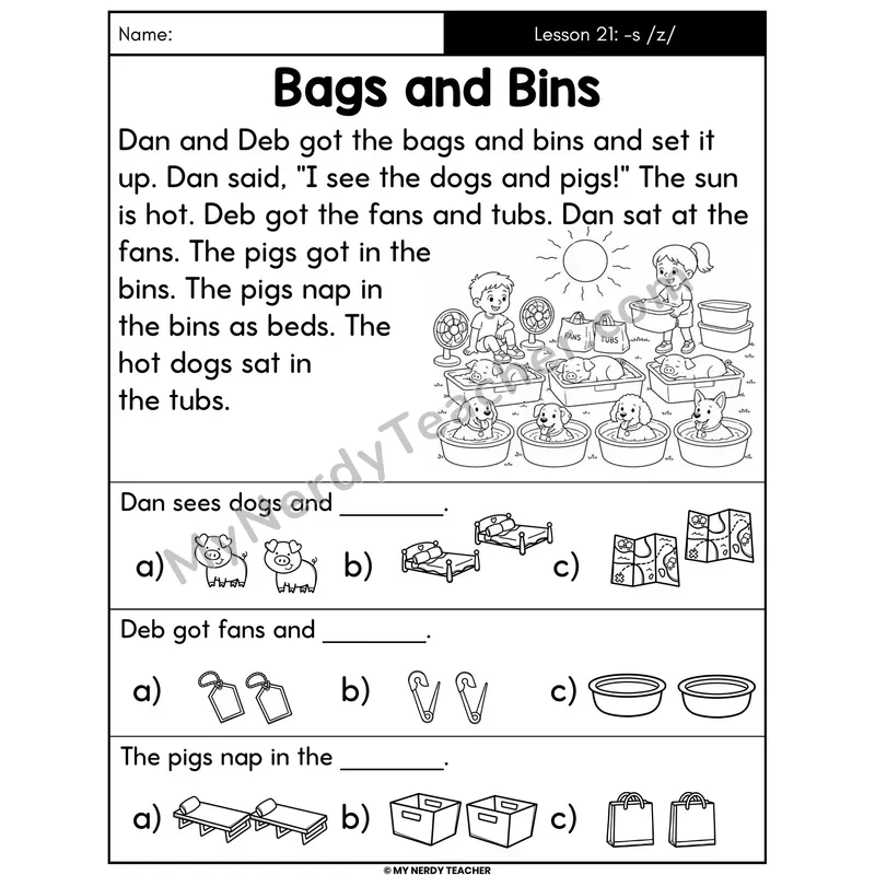 Suffix -s /z/ Decodable Passage - Bags and Bins (Picture Choices)