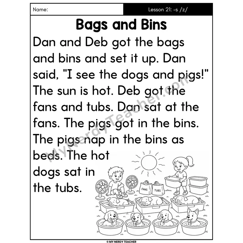 Suffix -s /z/ Decodable Passage - Bags and Bins (Large Print)