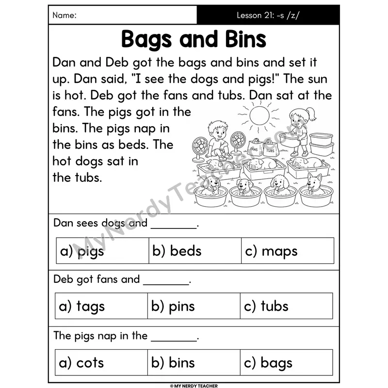 Suffix -s /z/ Decodable Passage - Bags and Bins (Multiple Choice)