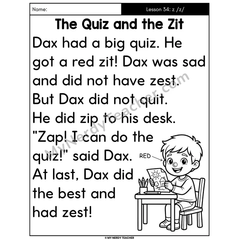 Letter Z Sound Decodable Passage - The Quiz and the Zit (Large Print)