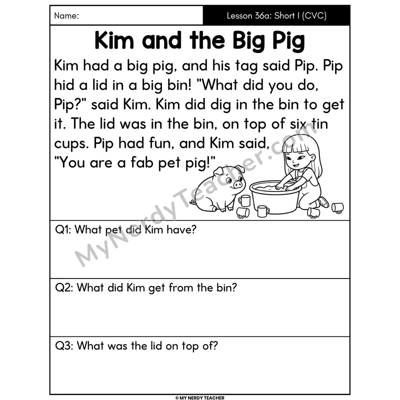 Short I Review Decodable Passage - Kim and the Big Pig (Answer Boxes)