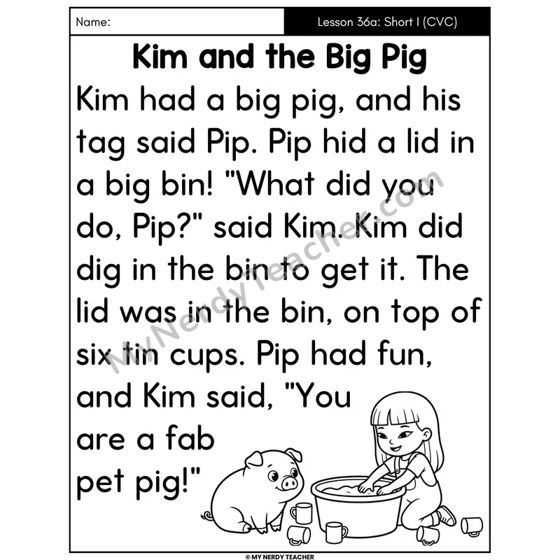 Short I Review Decodable Passage - Kim and the Big Pig (Large Print)