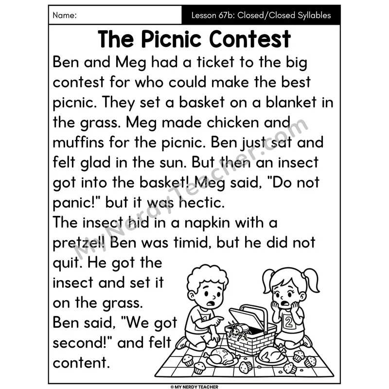 Closed-Closed Syllables Decodable Passage - The Picnic Contest (Large Print)