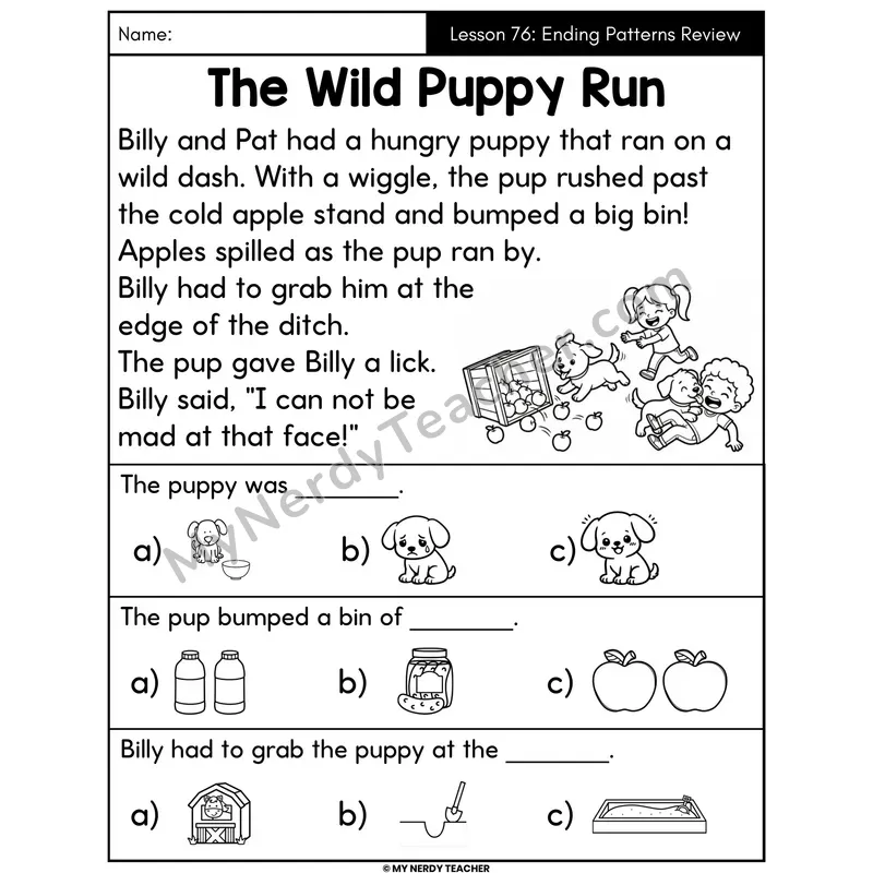 Ending Spelling Patterns Review Decodable Passage - The Wild Puppy Run (Picture Choices)