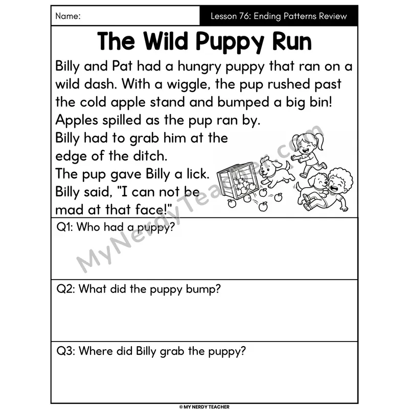 Ending Spelling Patterns Review Decodable Passage - The Wild Puppy Run (Answer Boxes)