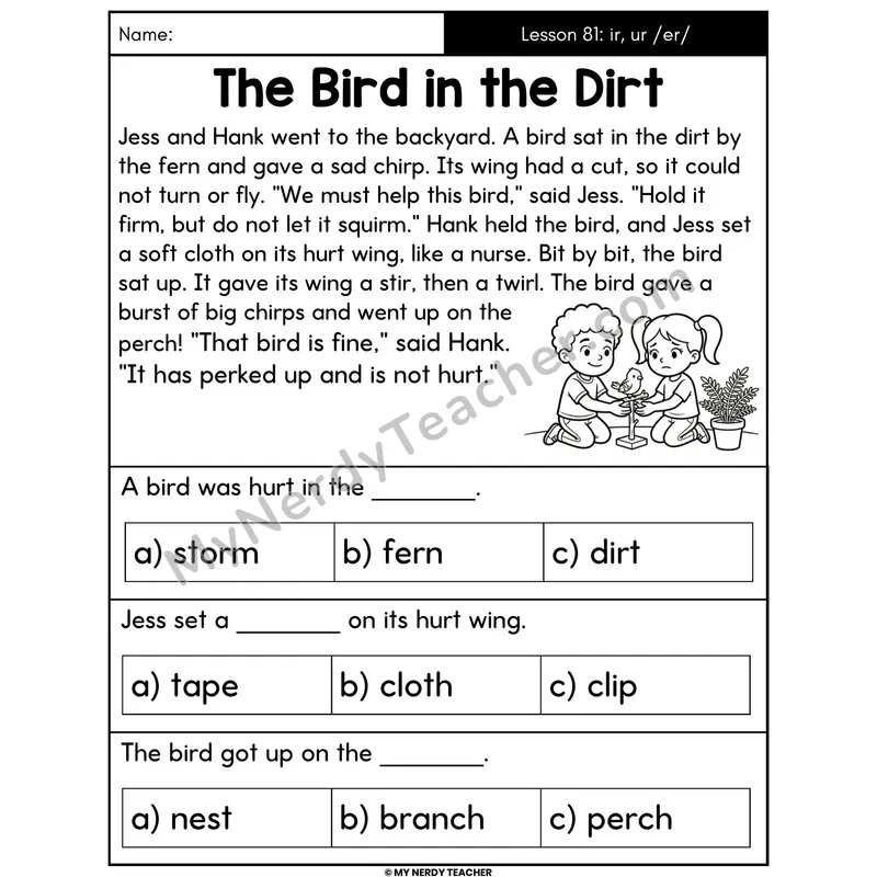 ir and ur R-Controlled Decodable Passage - The Bird in the Dirt (Multiple Choice)