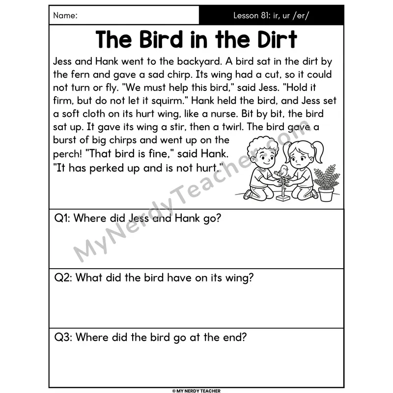 ir and ur R-Controlled Decodable Passage - The Bird in the Dirt (Answer Boxes)