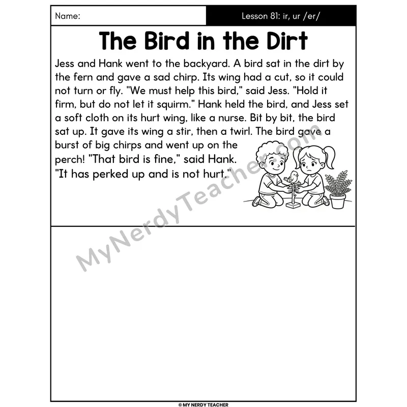 ir and ur R-Controlled Decodable Passage - The Bird in the Dirt (Draw the Story)