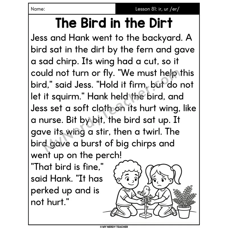 ir and ur R-Controlled Decodable Passage - The Bird in the Dirt (Large Print)