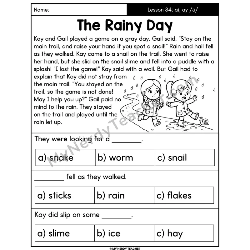 ai and ay Vowel Teams Decodable Passage - The Rainy Day (Multiple Choice)