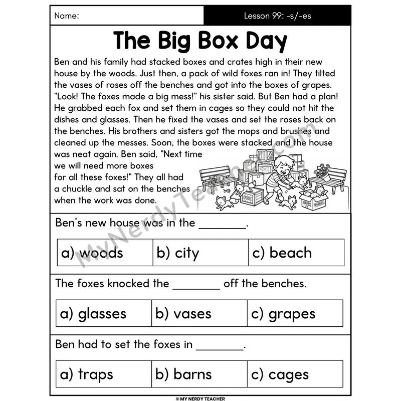 Suffixes -s and -es Decodable Passage - The Big Box Day (Multiple Choice)